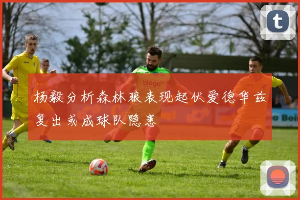 杨毅分析森林狼表现起伏爱德华兹复出或成球队隐患
