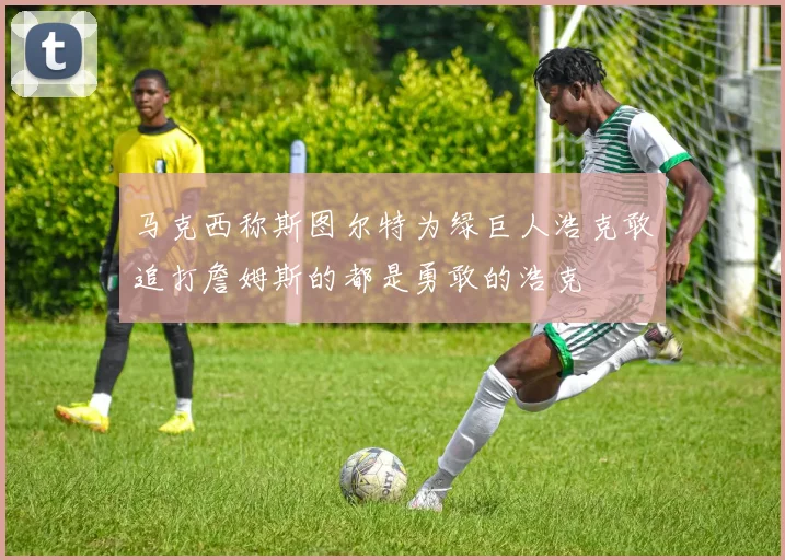 马克西称斯图尔特为绿巨人浩克敢追打詹姆斯的都是勇敢的浩克